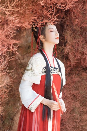 爱爱姿势全攻略